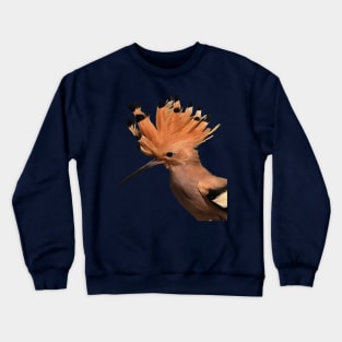 Moxie Hoopoe Bird With Crown Of Feathers Crewneck Sweatshirt